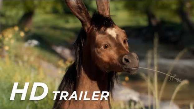 Video MAGIC ROADS – AUF MAGISCHEN WEGEN Trailer (Deutsch) en français