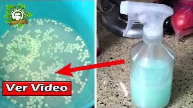 Video Esta Combinación Hará Que Tu Casa Huela Tan Bien Que Tus Vecinos Te Van A Envidiar Pruebalo auf Deutsch