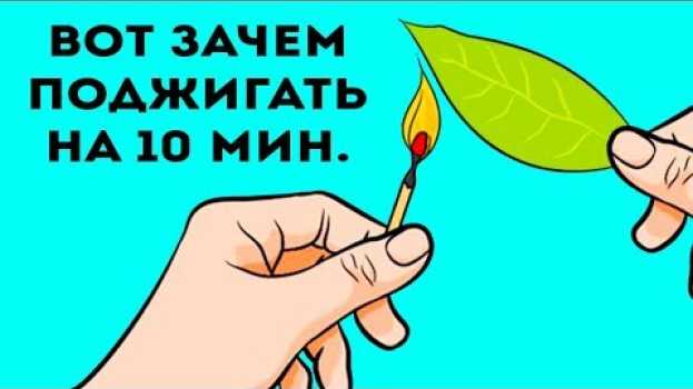 Video Вот зачем поджигают дома ЛАВРОВЫЙ ЛИСТ! Влияние запаха лавра, вызвало даже... em português