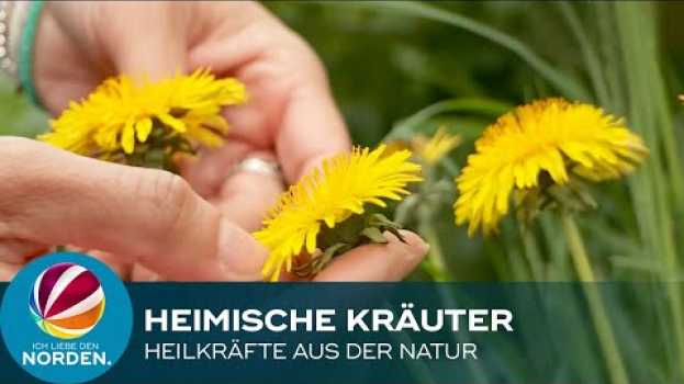 Video Die „Kräuterfriesin“ verrät ihr Wissen rund um heimische Wildkräuter in English