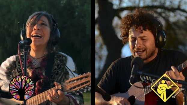 Video El Amanecer | Tocando En Red / Playing For Change - Diamante em português