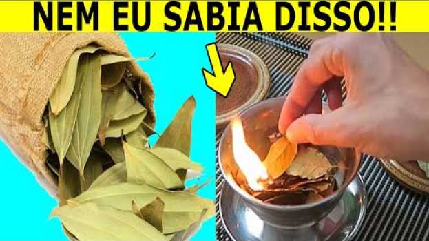 Video 🍃 Você Já Queimou 1 FOLHA DE LOURO Em Casa? Veja o Que Acontece Em Apenas 10 Minutos en français