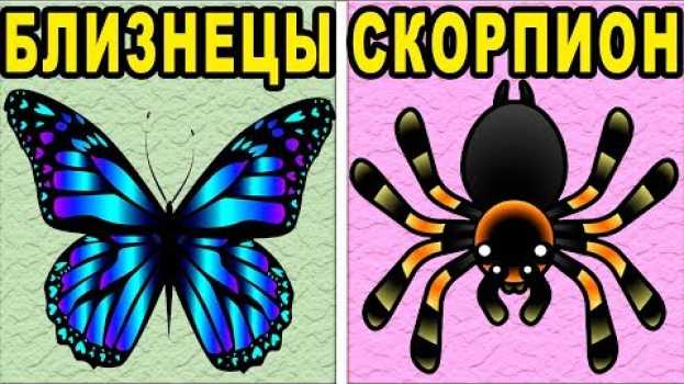 Video КАКОЕ ТЫ НАСЕКОМОЕ ПО ЗНАКУ ЗОДИАКА en français