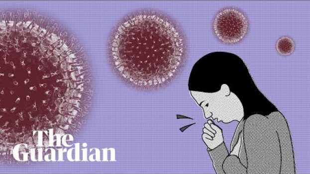 Video Coronavirus: how do I know if I'm infected and what happens next? en español