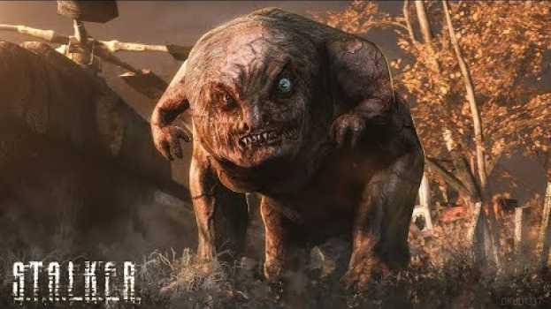 Video МУТАНТЫ ИГРЫ «S.T.A.L.K.E.R.» - ДО и ПОСЛЕ en español