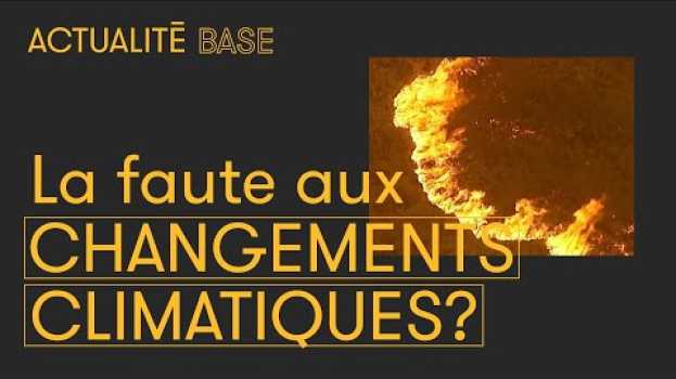 Video Les feux de forêt en Australie sont-ils liés aux changements climatiques? | Actualité in English