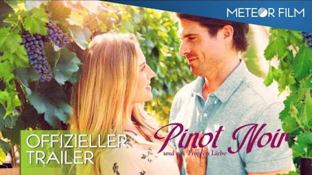 Video PINOT NOIR UND EIN TROPFEN LIEBE - Trailer Deutsch en français