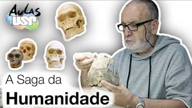 Video Walter Neves responde: Nós viemos dos macacos? in English