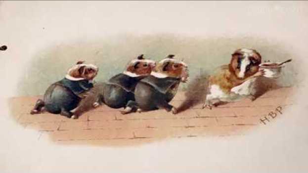 Video Beatrix Potter   türkçe