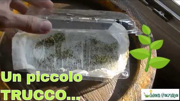 Video Germogliare semi molto piccoli: un problema?   türkçe