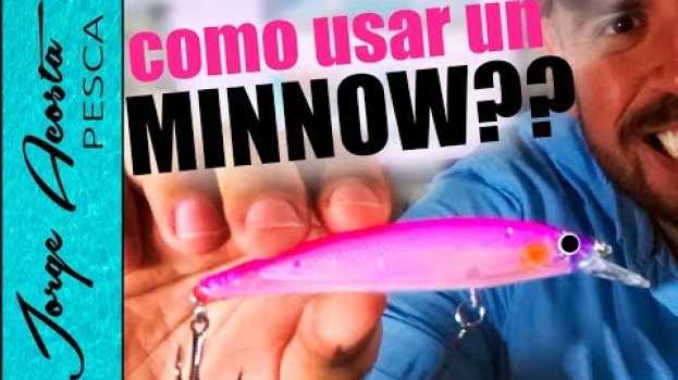 Video CUANDO, DONDE y COMO usar un MINNOW?? - Consejos de PESCA en français