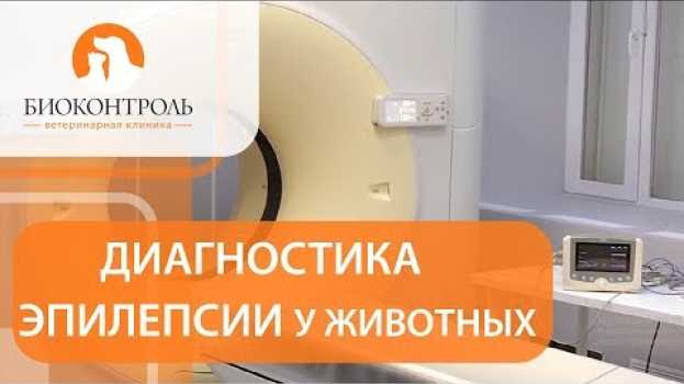 Video Эпилепсия у животных. 🏥 Причины и лечение эпилепсии у животных. Биоконтроль. auf Deutsch