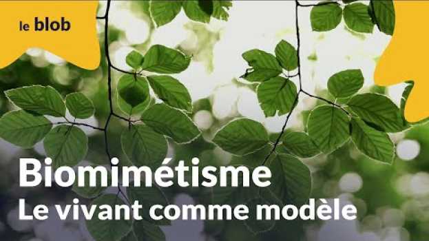 Video Biomimétisme, le vivant comme modèle | Nature = futur   türkçe