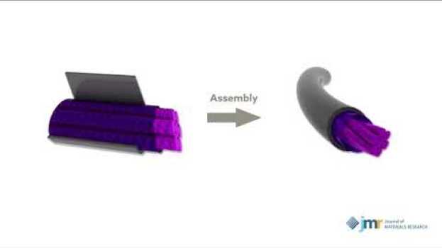 Video 2019 JMR Paper of the Year: High-performance wire-shaped supercapacitor em português