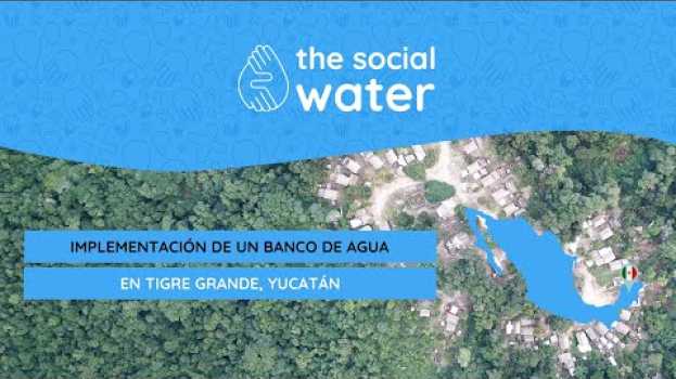 Video Implementación de un BANCO DE AGUA en TIGRE GRANDE, Yucatán po polsku