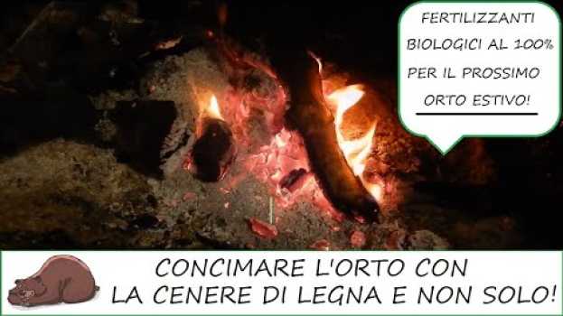 Video Concimare l'orto con la cenere di legna e non solo! in English