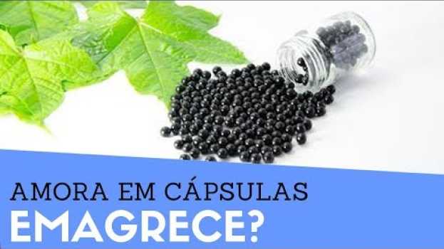 Video AMORA EM CÁPSULAS emagrece? Tem o mesmo EFEITO do chá? [Como tomar] Live Saudavel en français
