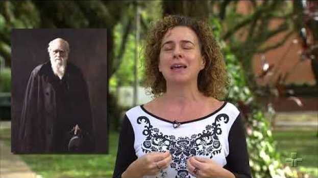 Video Novas imagens levantam debate sobre o luto no mundo animal auf Deutsch