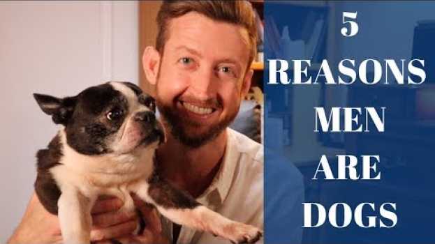 Video 5 Reasons Men Are Dogs (And How It Helps You Understand Them!) em português