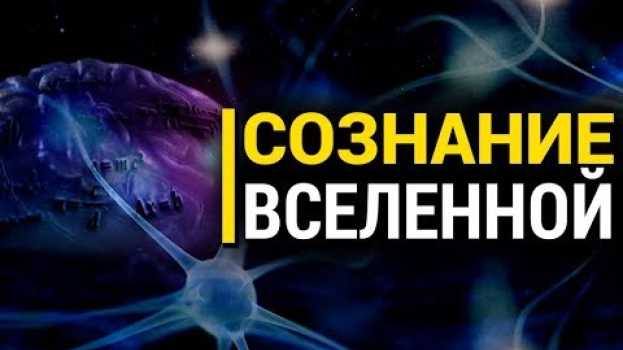 Video Ролик не для всех: Может ли у Вселенной быть сознание? in English