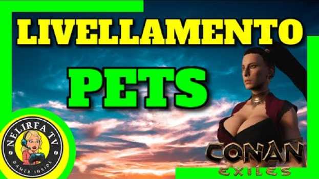 Видео Conan exiles|| Novità per gli animali e gli schiavi: (follower) livelleranno на русском