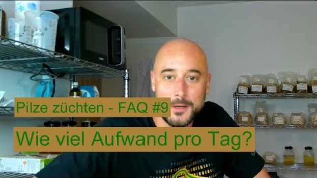 Video Pilze züchten - Wie viel Aufwand ist das pro Tag? Pilzzucht FAQ #9   türkçe