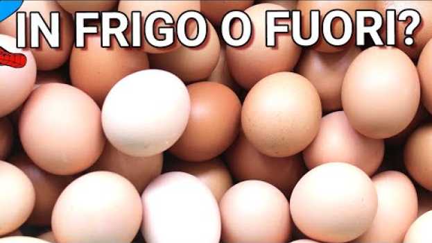 Video Non tenere le UOVA fuori dal frigo! in English