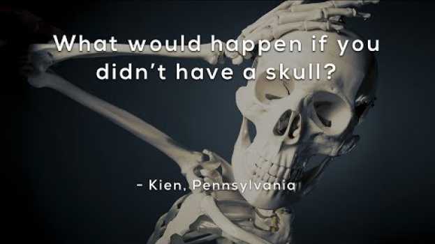 Video What would happen if you didn't have a skull? po polsku