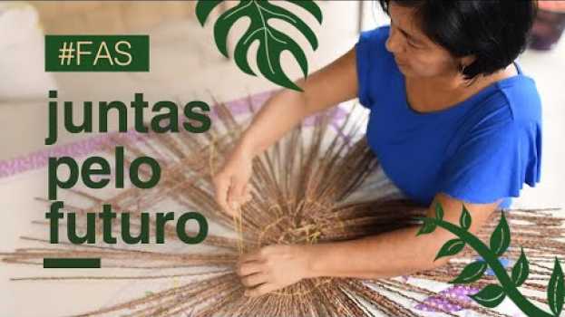 Video A Americanas.com e a Fundação Amazonas Sustentável agora estão juntas ;) su italiano
