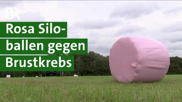Video Rosa Siloballen auf der Wiese: Aktion von Landwirten zur Brustkrebsvorsorge | Silo | Unser Land | BR en español