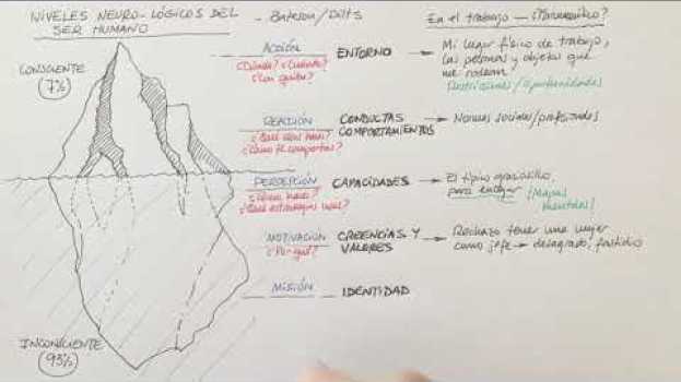 Video Cosas de Coaching - Niveles Neuro-Lógicos em português