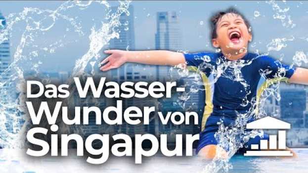 Video Rohstoff WASSER: Wie SINGAPUR völlig AUTARK werden will - VisualPolitik DE su italiano