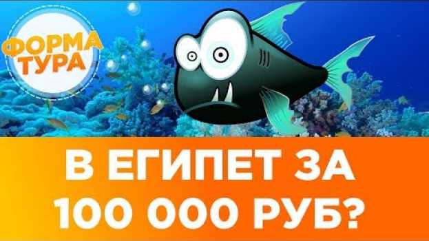 Video Сколько стоит тур в Египет? Россия - Египет. Когда распродажа туров en español