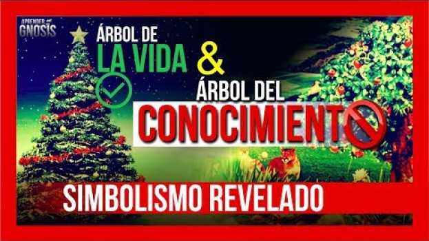 Video El árbol del BIEN y del MAL👼😈 [SECRETO REVELADO] Árbol de la VIDA kabbalah// Aprender Gnosis   türkçe