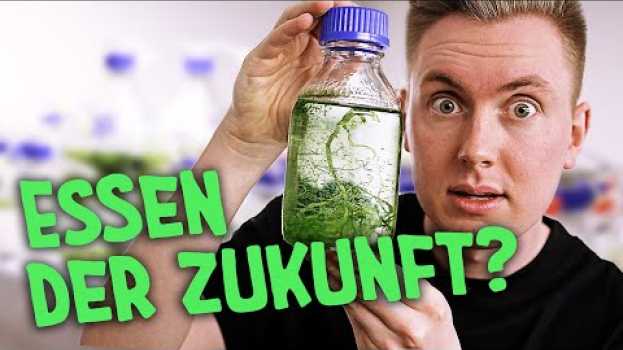 Video Essen wir bald nur noch Algen? in English