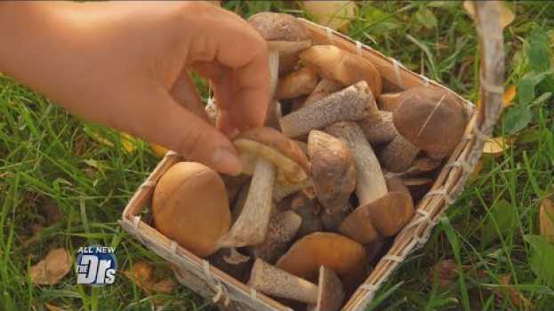 Video ‘Magic Mushrooms’: Should They be Legal?   türkçe