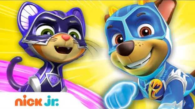 Video Mighty Pups Save Adventure Bay From Copy Cat! ⚡ PAW Patrol | Nick Jr. em português