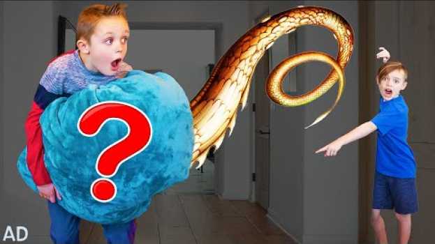 Video Kade Sneaks a Secret Pet into the House!  Kids Fun TV & Aqua Dragons in English