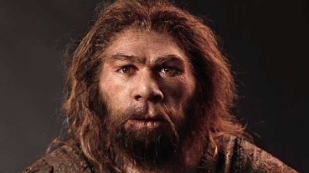 Video Human History: The Rise of the Sapiens em português