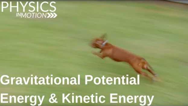 Video What Are Gravitational Potential Energy and Kinetic Energy? | Physics in Motion em português