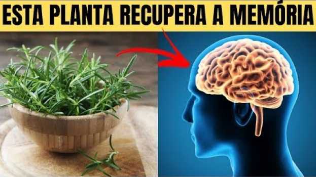 Video Esta Planta é Recupera Sua MEMÓRIA, e Ainda Protege Seu Cérebro do Alzheimer e Depressão! in English