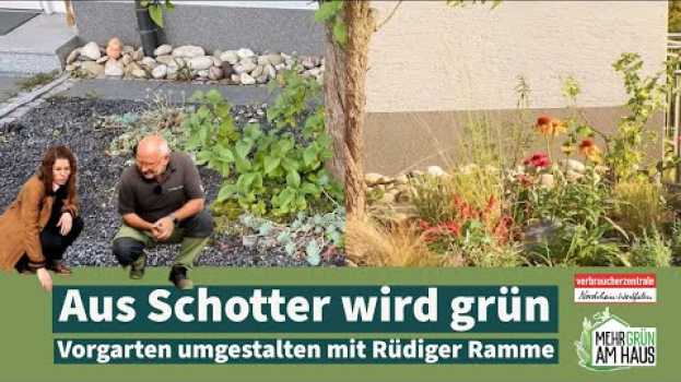 Video Aus Schotter wird Grün – Oase Vorgarten po polsku