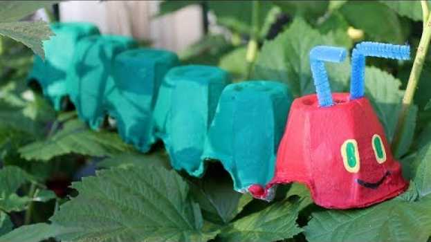 Video Chenille faite avec une boîte à oeufs po polsku