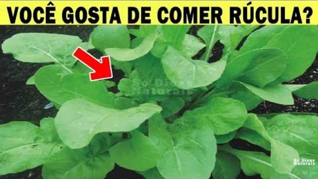 Video RÚCULA, Eu Nunca Imaginei que Ela Tinha Todos Esses Benefícios po polsku
