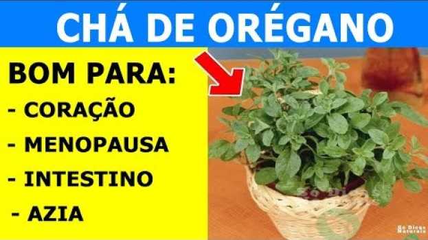 Video 🍀Essa Planta Tem + Benefícios Que Muitas Vitaminas e Você PODE Ter Em Casa! #Orégano in English