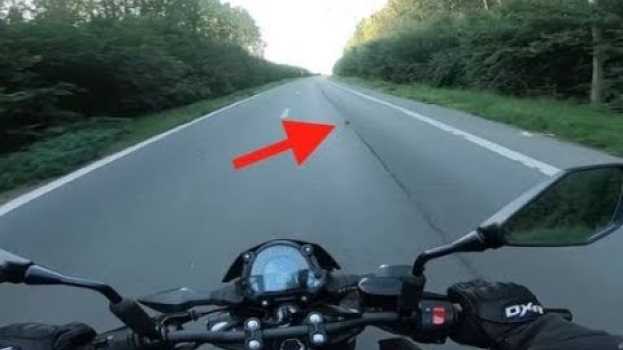 Video Парень разглядел «точечку» на дороге, которая оказалась котенком. Действовать нужно было немедленно en español