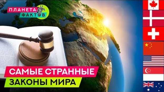 Video Налог на собак и запрет на жевательную жвачку | И еще пару десятков странных законов со всего мира en español
