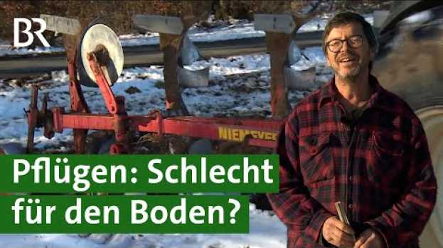 Video Bodenschutz am Acker: Pflügen oder nicht? | Doku Bio Landwirt | Landwirtschaft | Unser Land po polsku