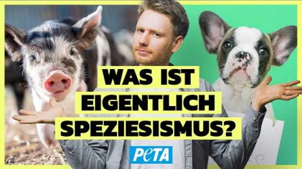 Video Kennst du die häufigste Form von Diskriminierung? – Speziesismus erklärt in English