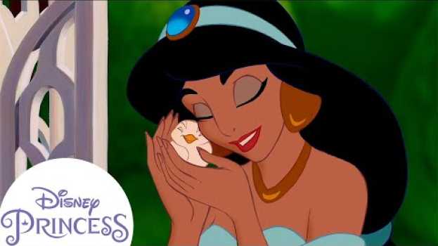 Video Disney Princesses and Their Animal Friends! | Disney Princess en français